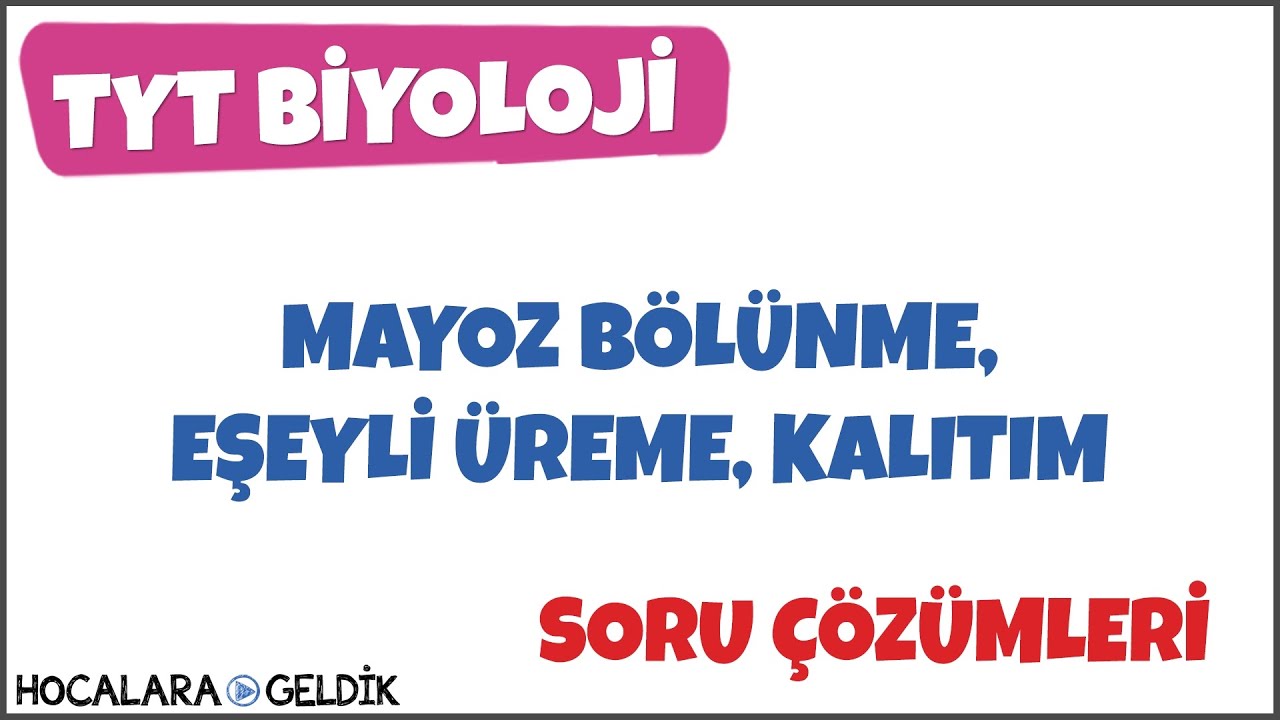Mayoz Bölünme ve Eşeyli Üreme, Kalıtım Soru Çözümleri