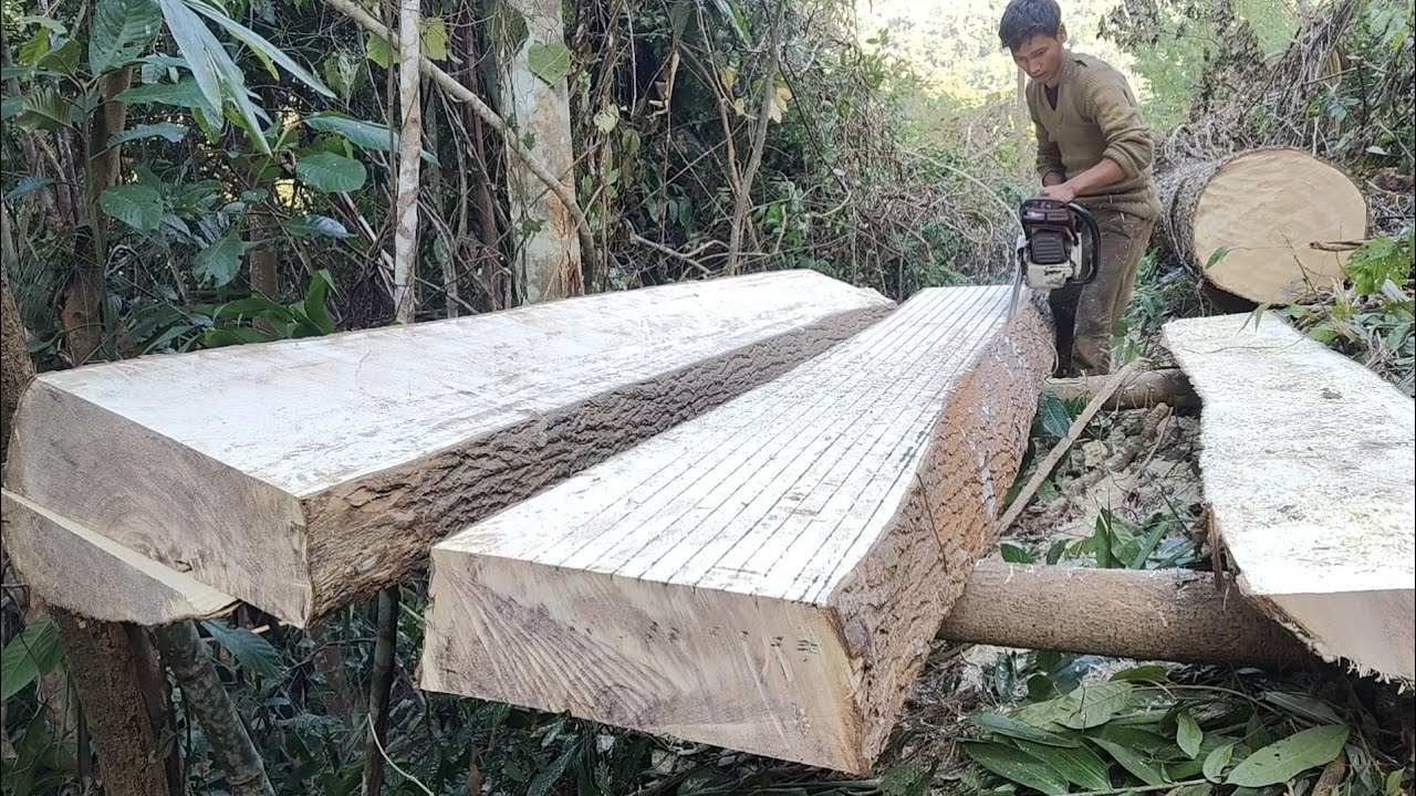 BEST !! Beautiful board size making skills With Stihl ms382 chainsaw