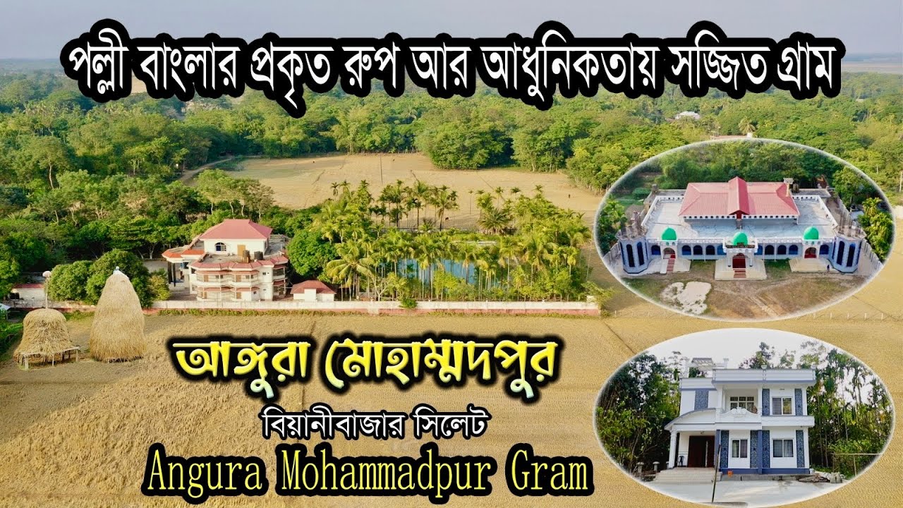 Bangladesh Village - Angura Mohammadpur in Sylhet Beanibazar - আঙ্গুরা মোহাম্মদপুর  গ্রাম