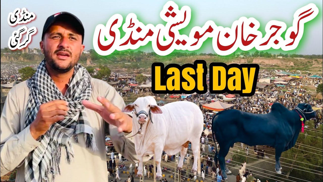 Gujar Khan Mandi Last Day || Explore Potohar