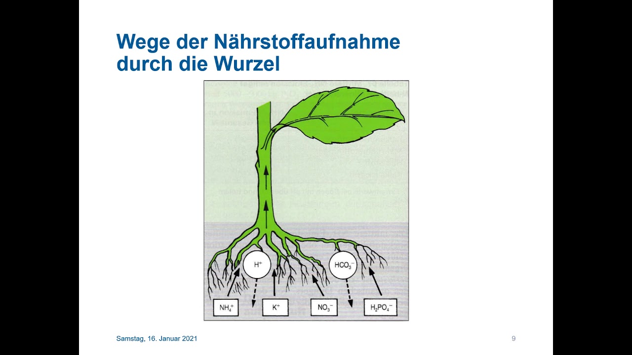 Düngelehre Folge 1: Einführung Düngung