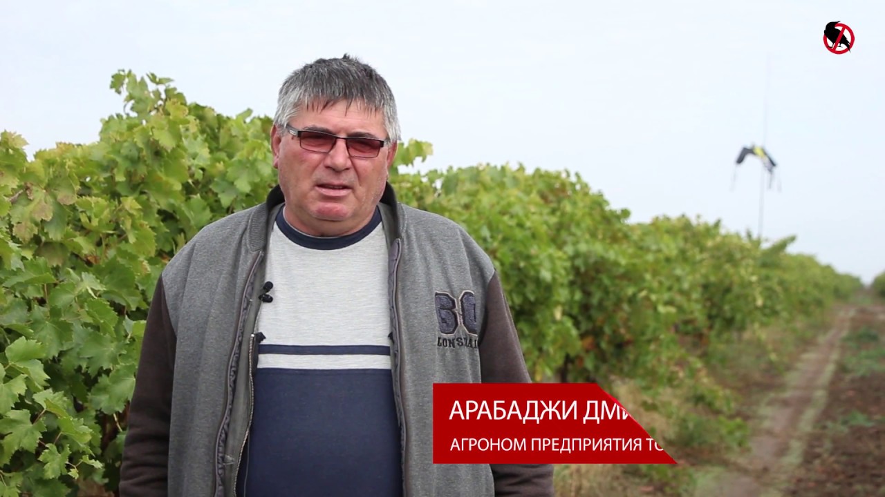 Как отпугивать птиц с виноградника? Акустические и визуальные отпугиватели от производителя