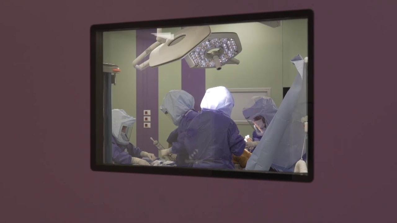 Gli studenti di Treviso in sala operatoria a scuola di Medicina