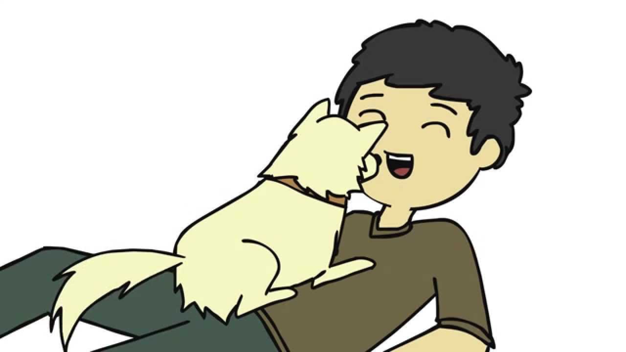 Dog Interactions