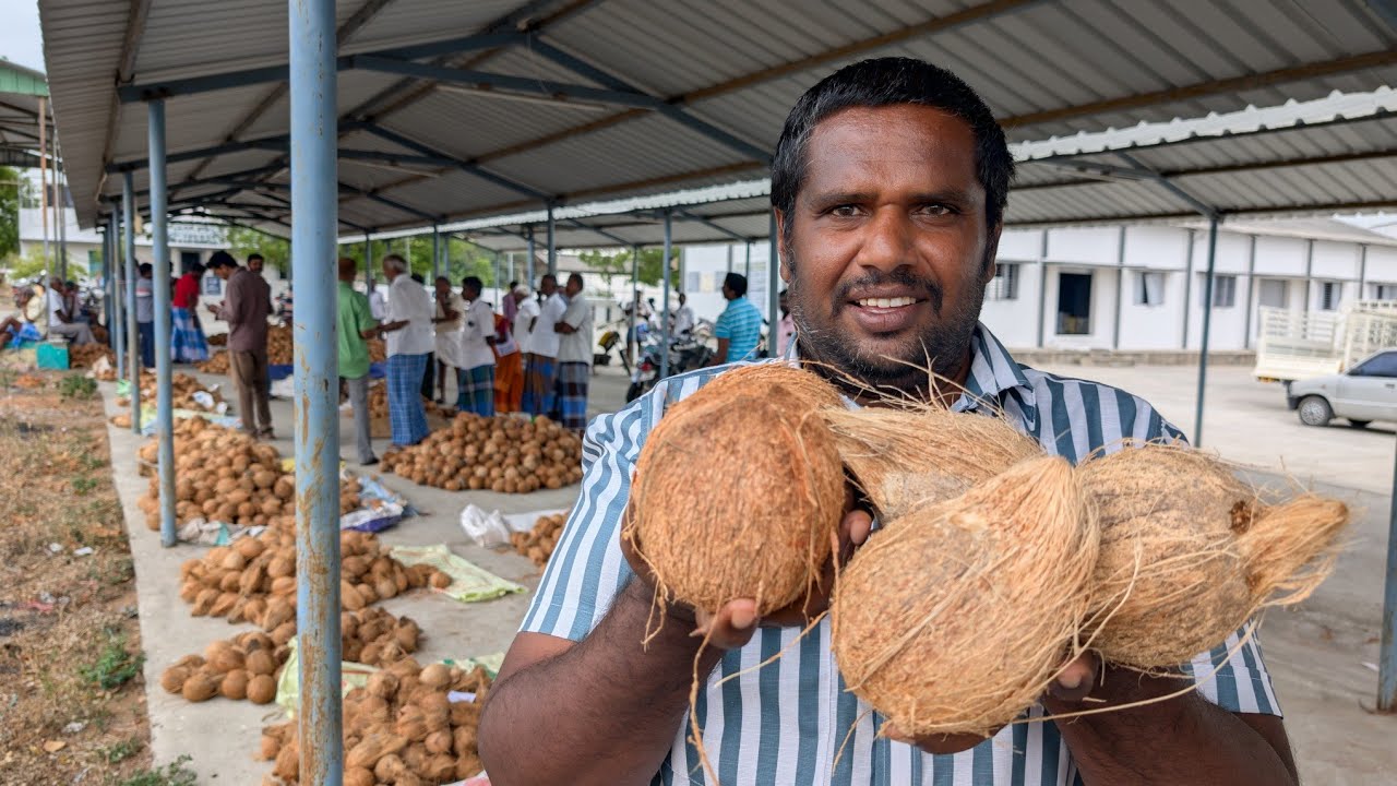 முத்தூரில் தேங்காய் விலை நிலவரம்