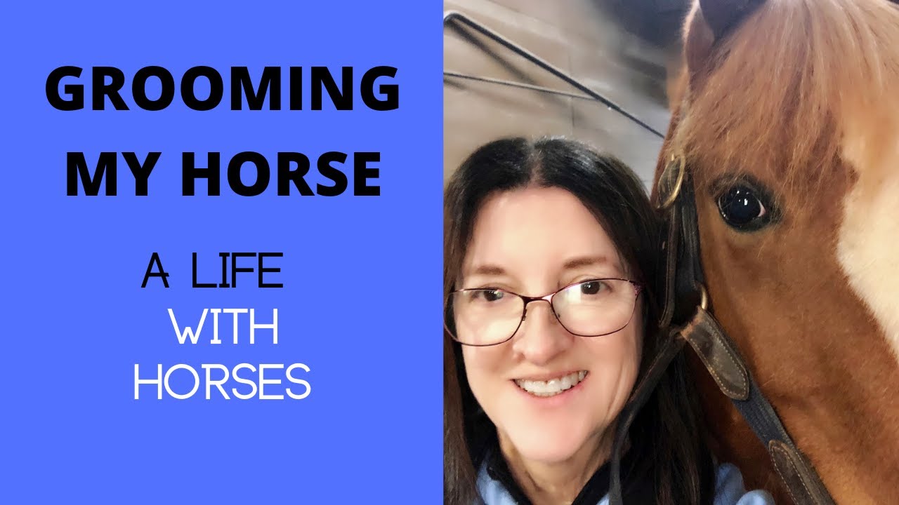 My Daily Horse Grooming Routine; How to safely groom and tools you will need!