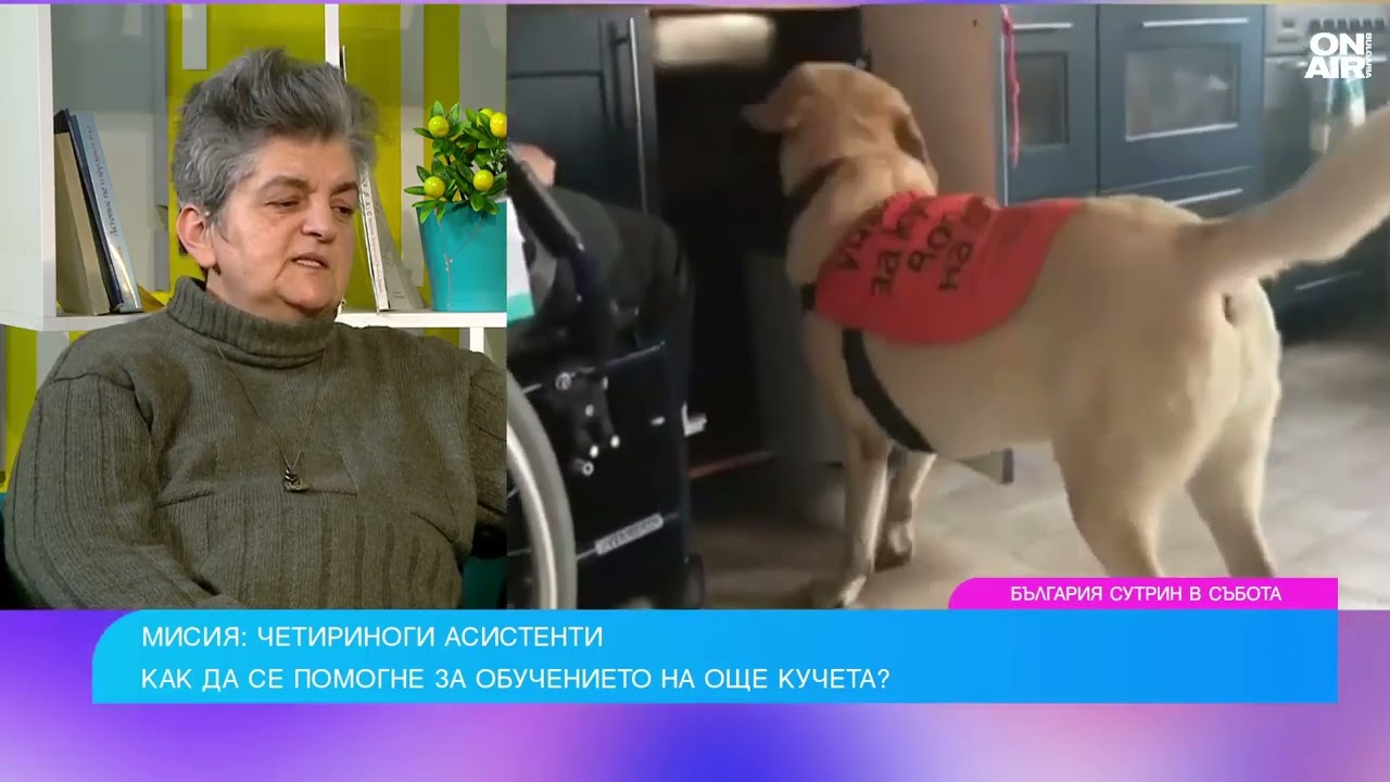 Кучета с мисия: 