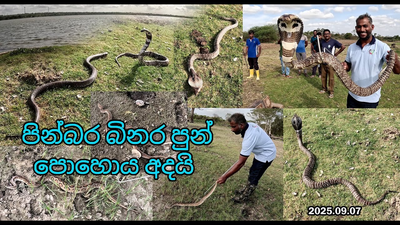Binara Full Moon poya Day - 2025
