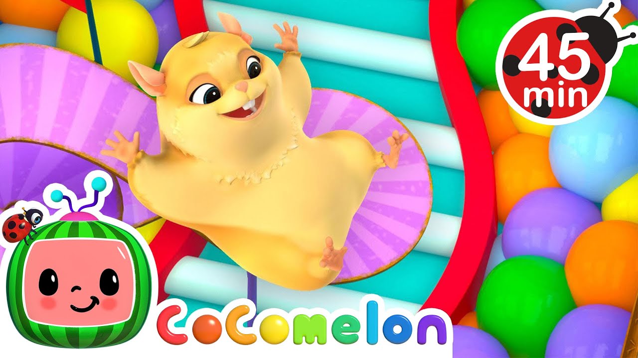 Pet Hamster's Amazing Race! | CoComelon Kids Songs & Nursery Rhymes