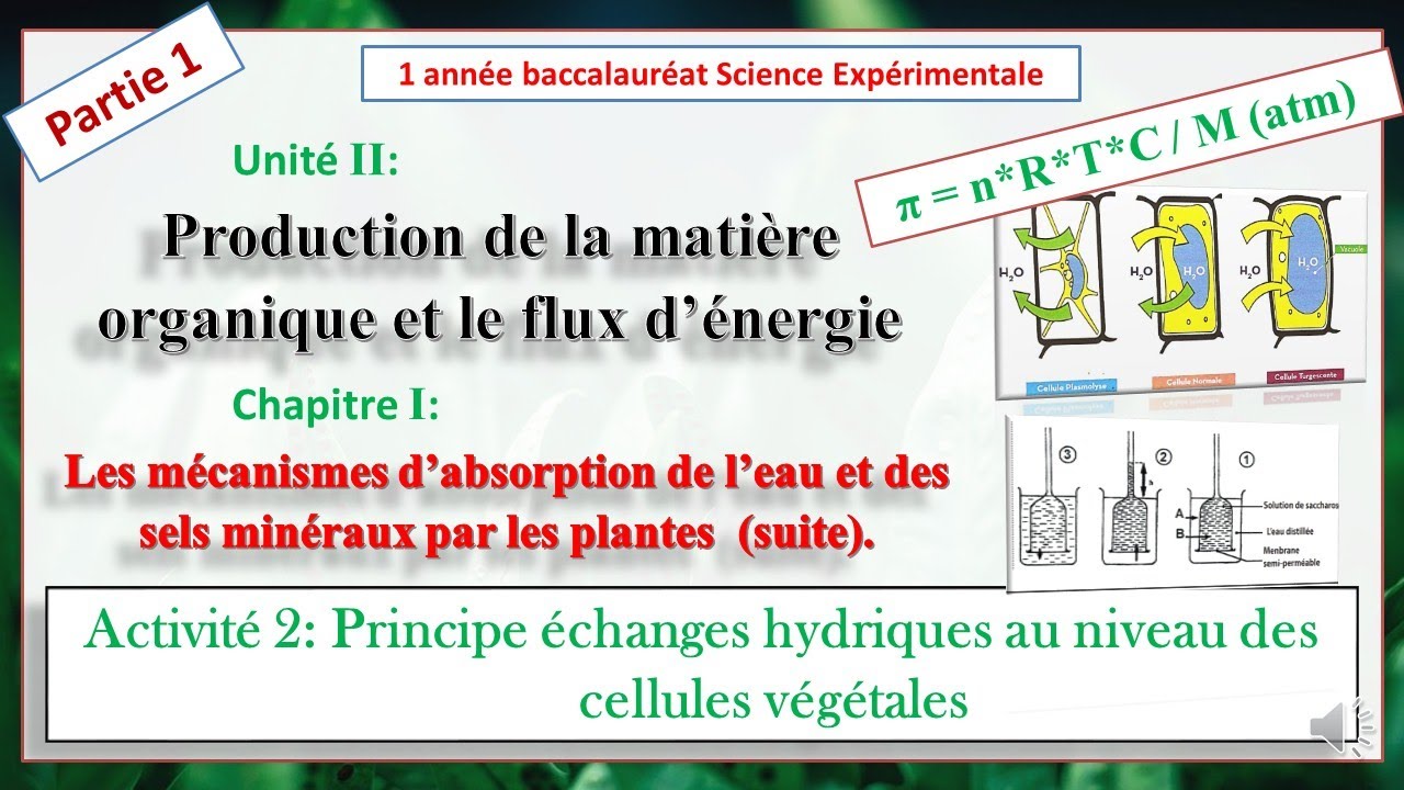 Principe des échanges hydriques au niveau des cellules végétales التبادلات المائية على مسنوى الخلية