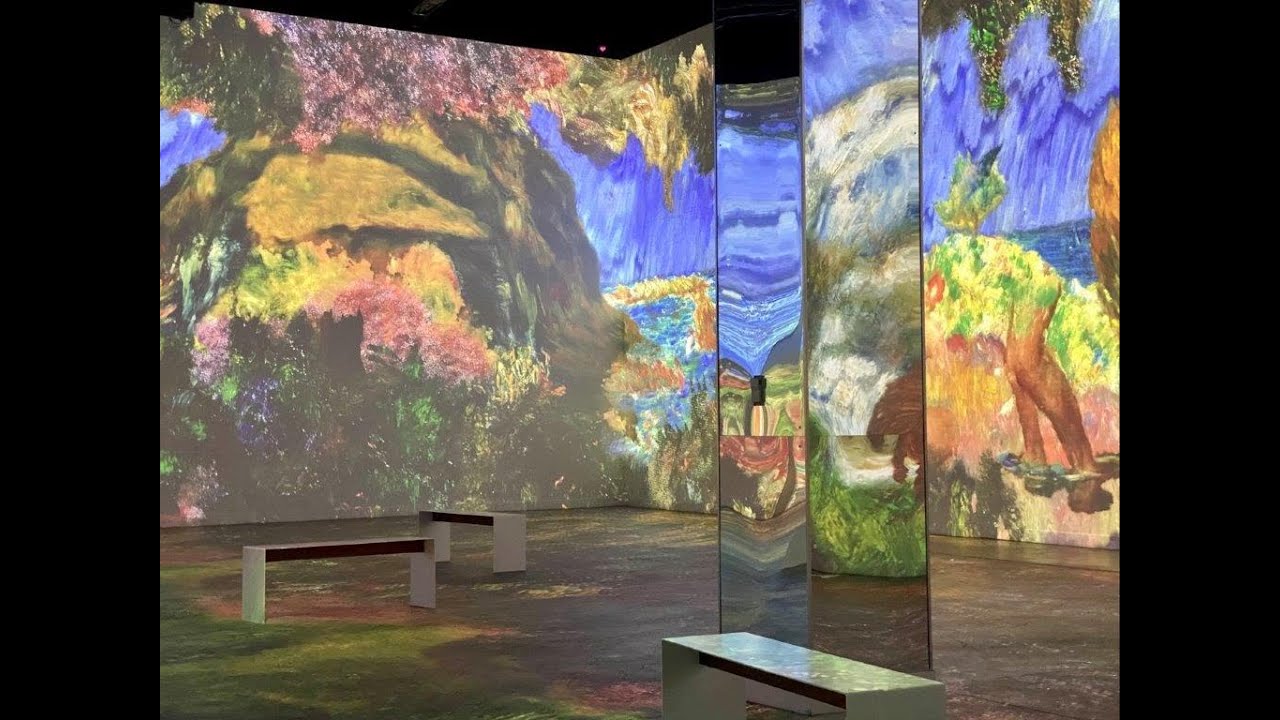 Arizona Scottsdale Immersive Monet video