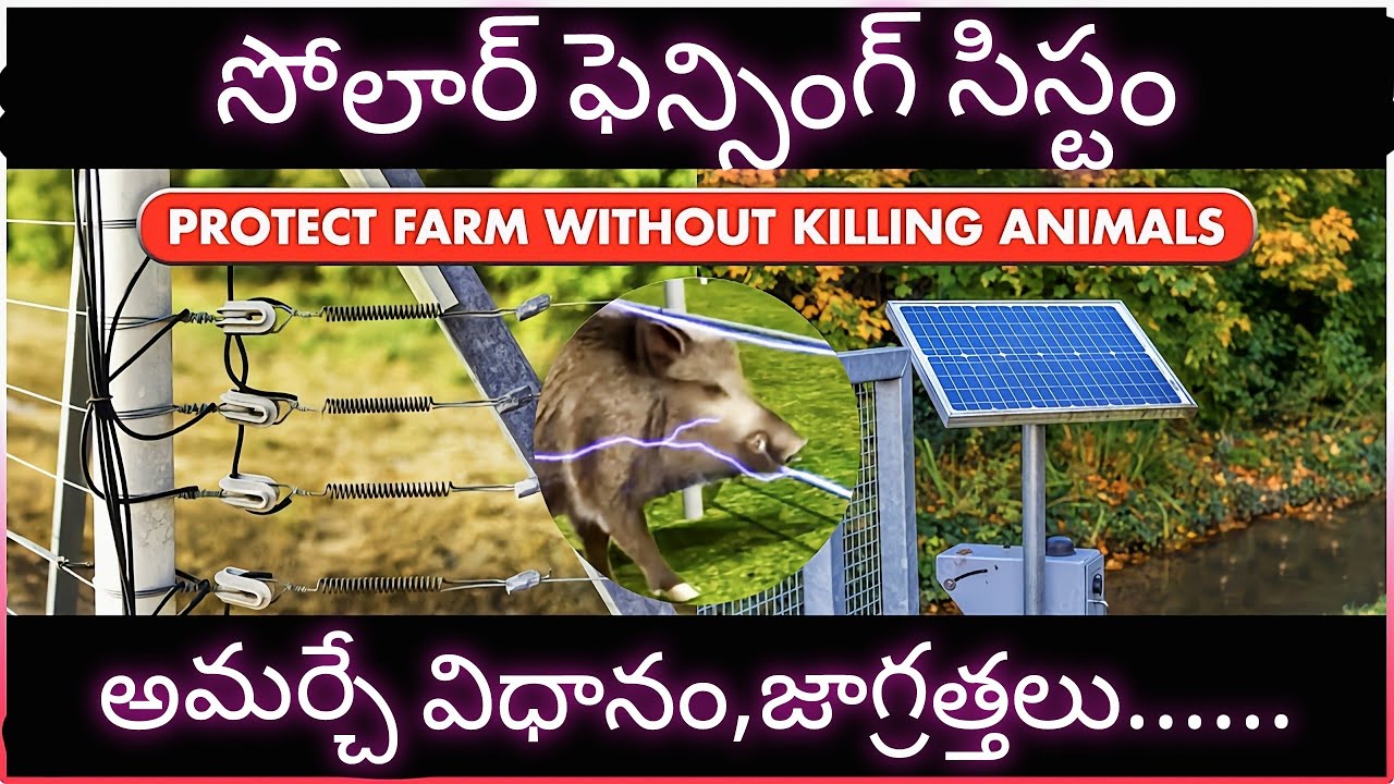Solar fencing system for agriculture.......