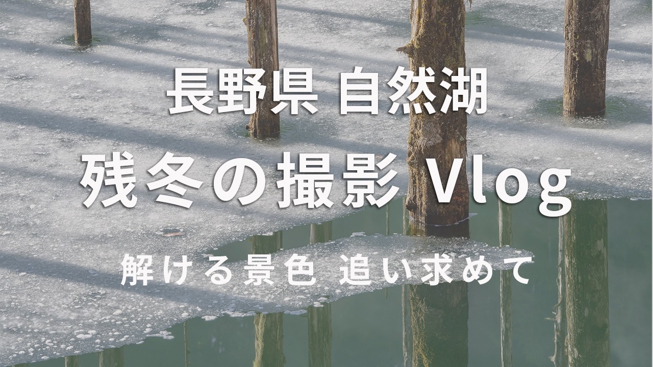 【Vlog】春が近づく残冬の自然湖にて 解けかけの風景を撮影してきました。
