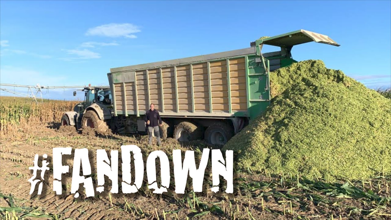 #FANDOWN