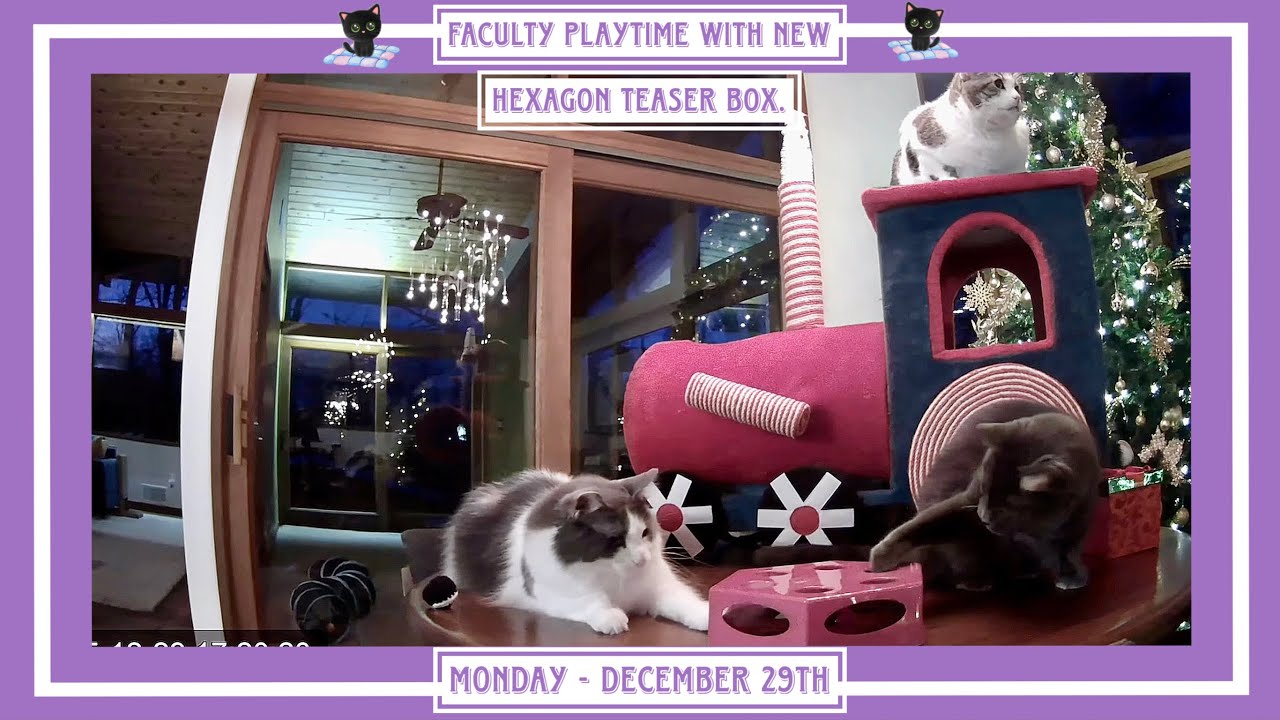 Faculty Playtime With New Hexagon Teaser Box! - Monday December 29th.