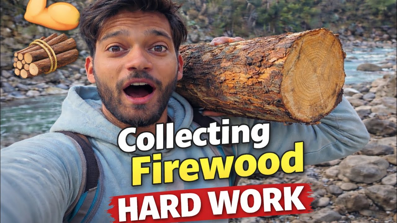 Collecting firewood 🪵 hard work 😓 @Aftab_manali 