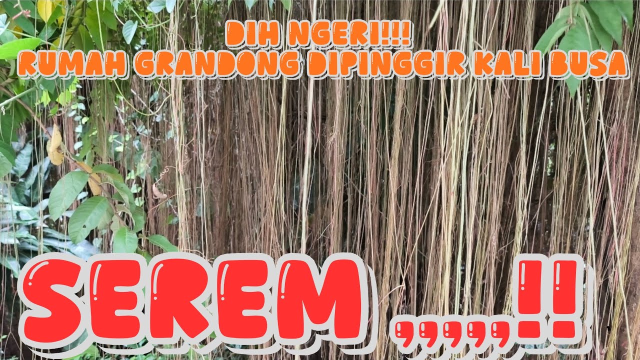 BEGINI KONDISI KALI BUSA !! SEREM  !! HOROR  !! GAK TERAWAT