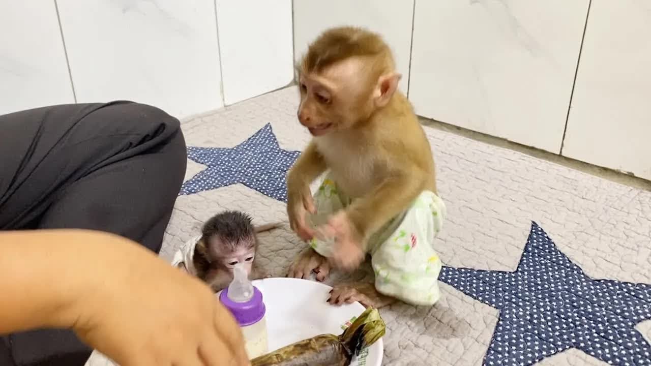 Mom Is Doing Peeling Hot Banana Cake For DAM But Lil Boy Very Eagerly