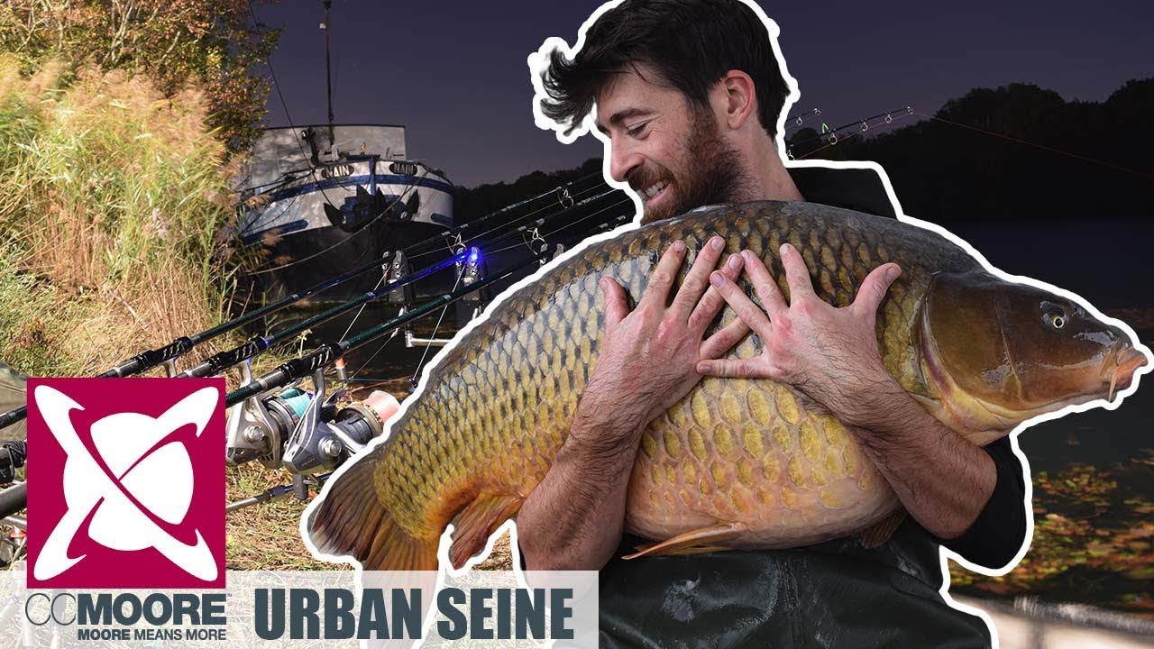 Pêche à la carpe en Seine / CCMoore France