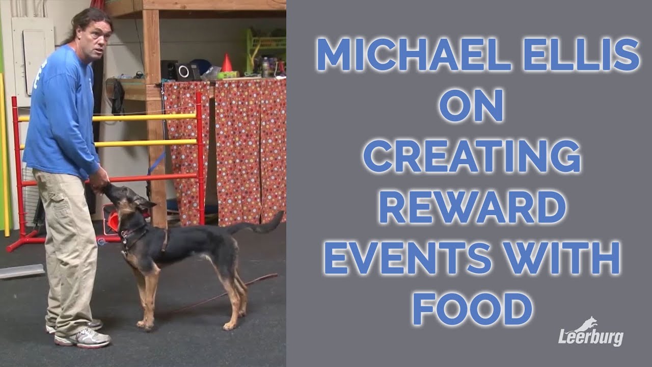 Michael Ellis on Creating Reward Events with Food