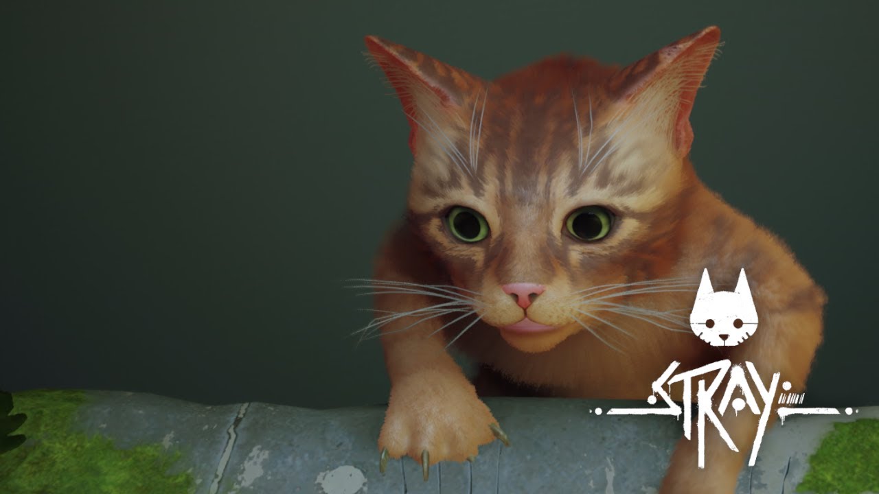 РЫЖЫЙ СПУТНИК ➤ Stray #1