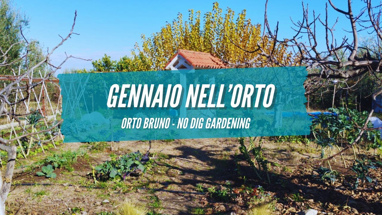 🥦 TOUR dell'ORTO di GENNAIO