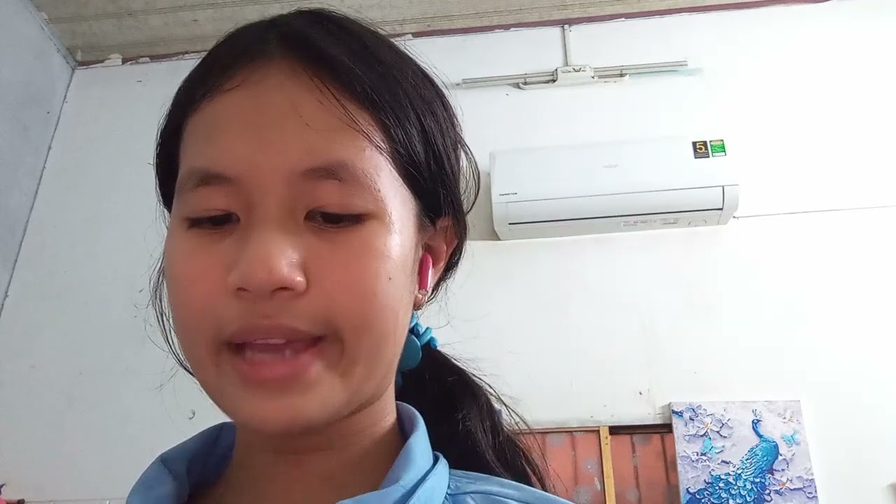 Hân Nghi W/H Questions 13. How many 04.02.2026