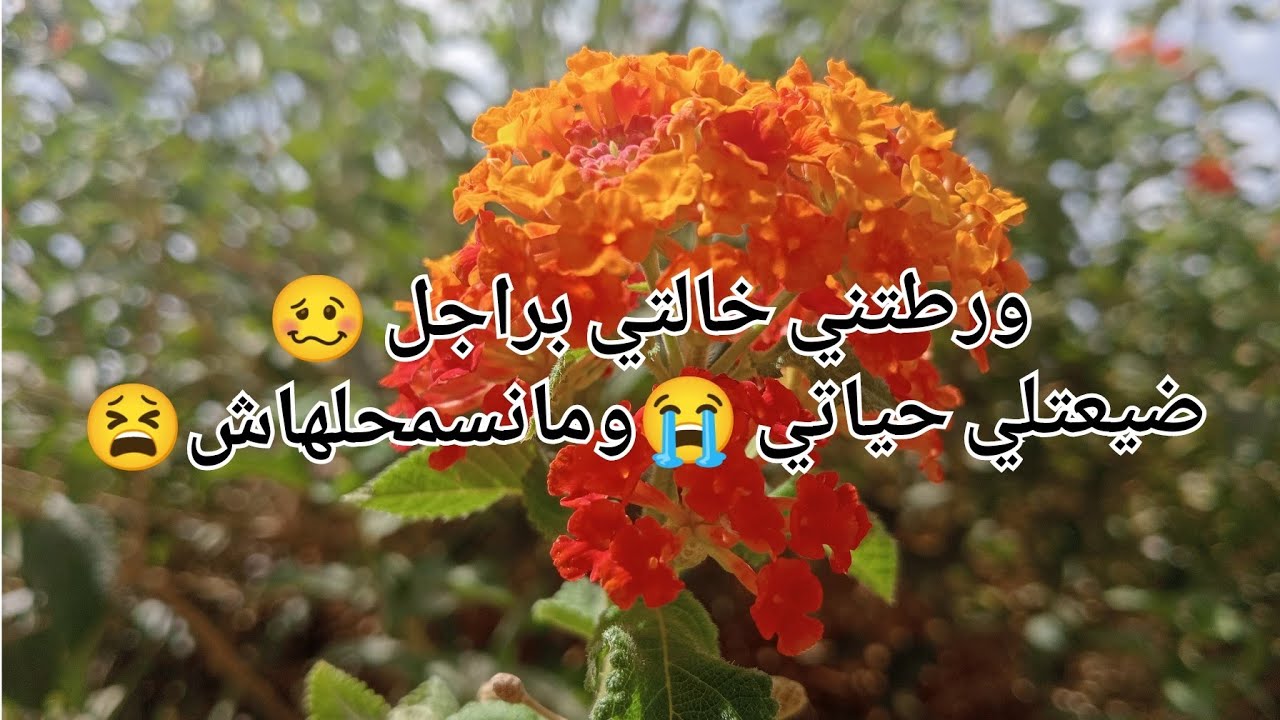 ورطتني خالتي براجل شاذ🥴 ضيعتلي حياتي 😭 ومانسمحلهاش 😫