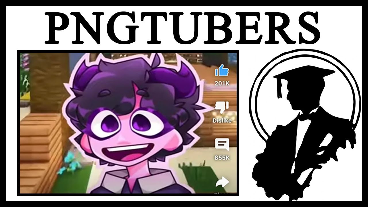Why Do People Hate PNGTubers?