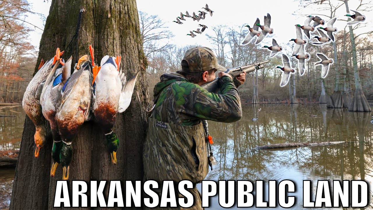 The Best Solo Duck Hunt of My LIFE! Limited out in 9 MINUTES!!