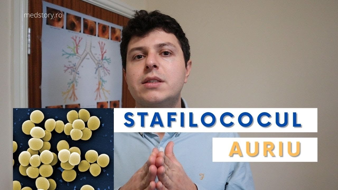 Stafilococul auriu se ia doar din spital?