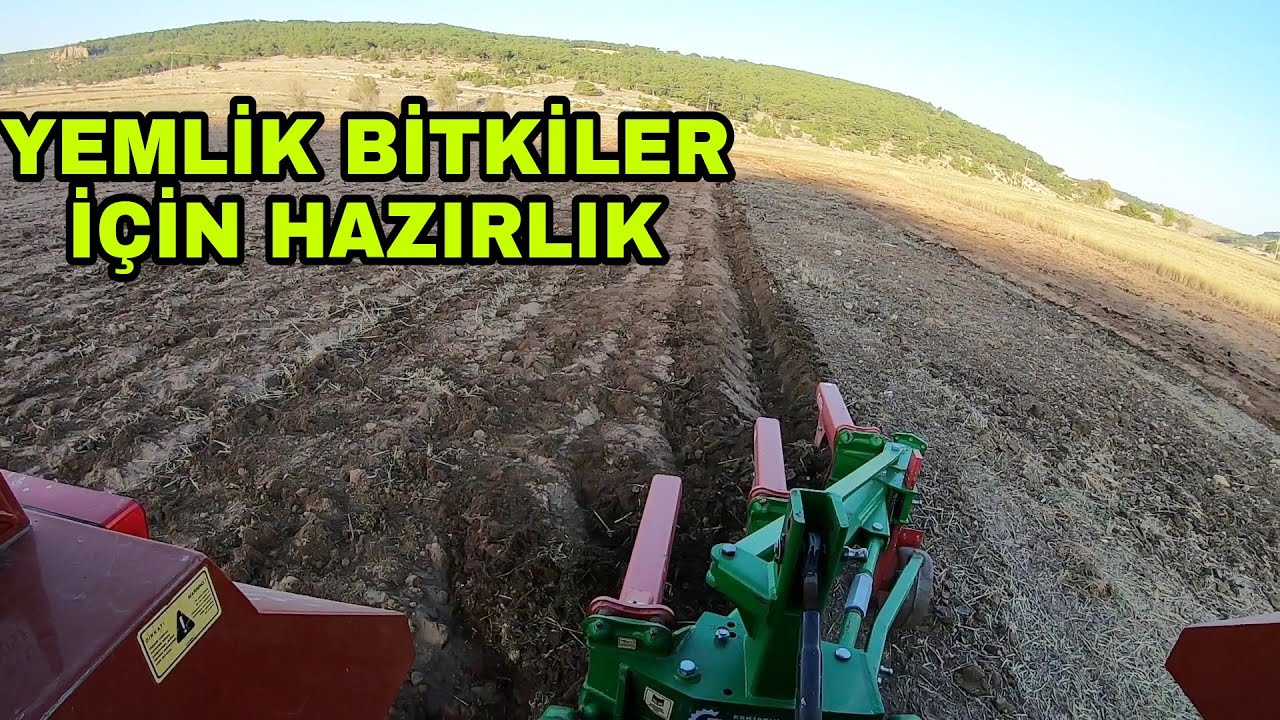 HALI GİBİ TARLA HAZIRLAMAK~YEM BİTKİSİ TOHUM YATAGI
