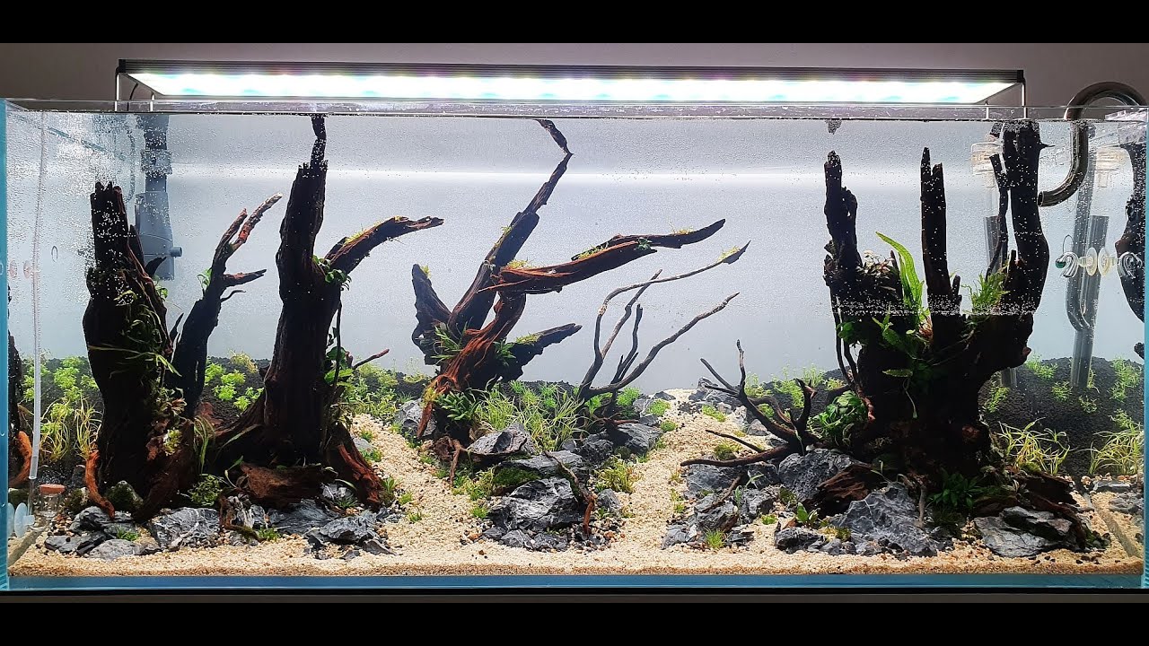 Aquascape Tutorial | Step by Step 120cm | PlantedTank | Amazing Diorama Layout