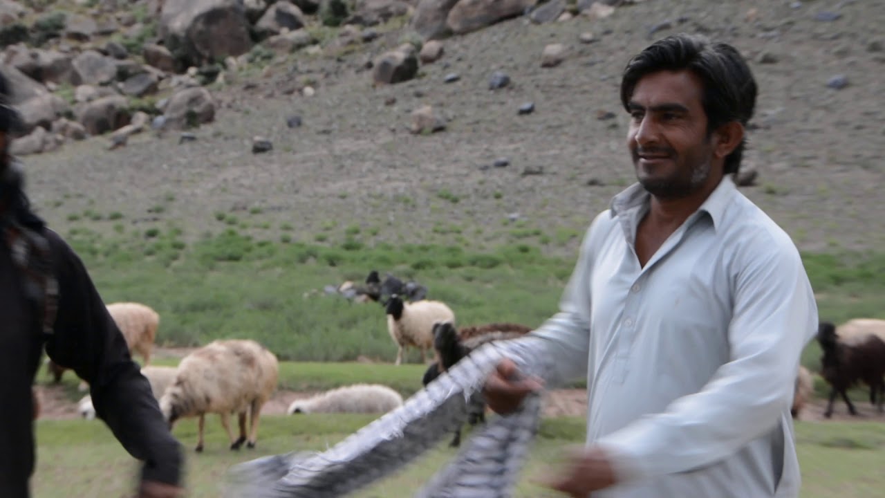 Da Zhob Da Zwanano Attan