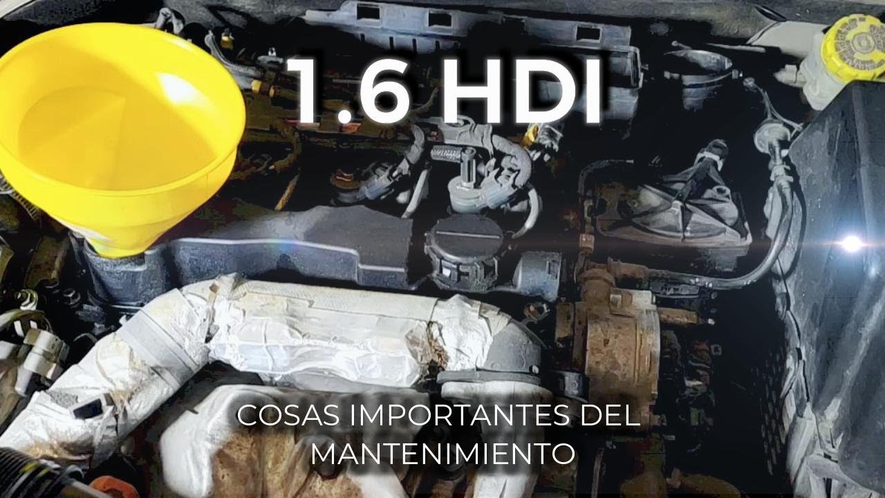 Tutorial cambio de aceite en 1.6 HDI y recomendaciones para cuidar el motor