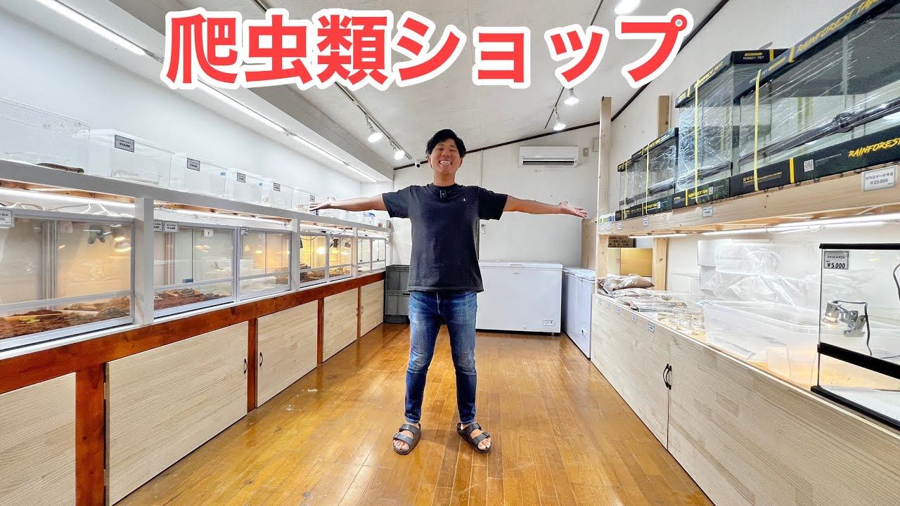 爬虫類ショップをオープンします