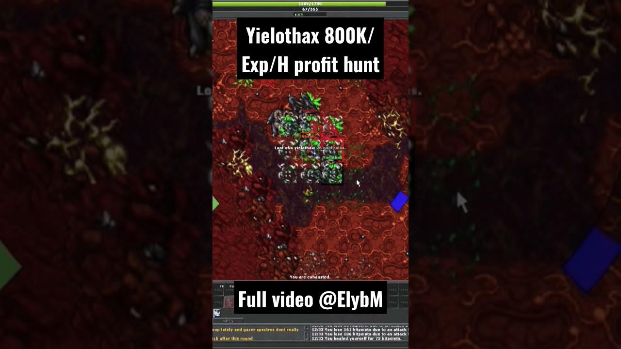 Level 100 solo EK Yielothax PROFIT HUNT #gaming #mmorpg #games
