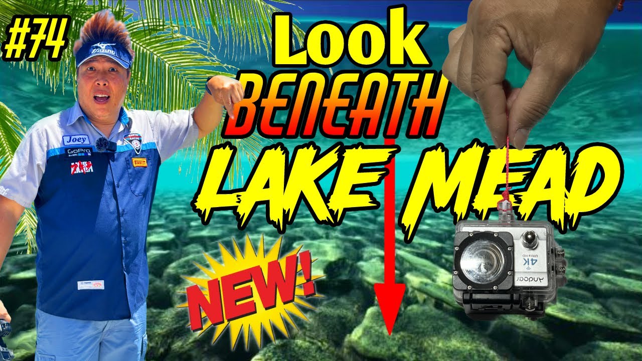 Shocking New Video Under Lake Mead Marina - Look in the Water!