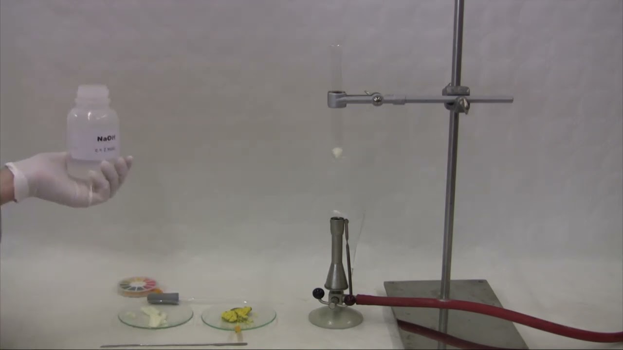 Nachweis von Stickstoff in Eiweissen