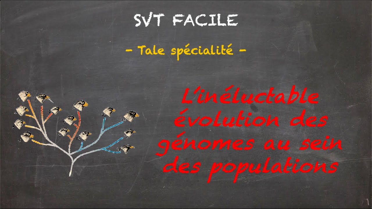 SVT FACILE - Tale spé. - L'inéluctable évolution des génomes au sein des populations