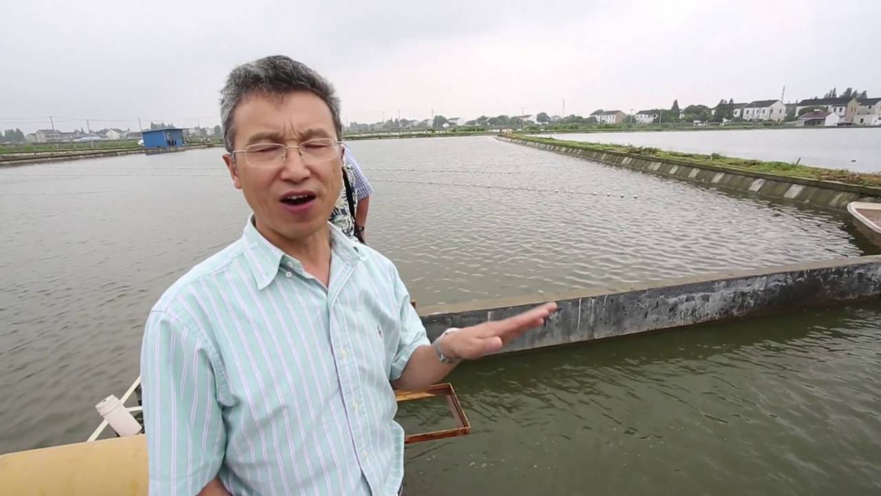 AN AQUACULTURAL REVOLUTION IN CHINA