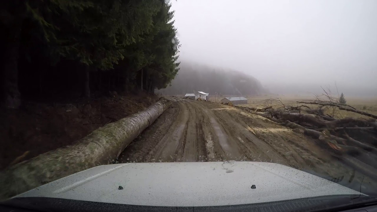 Barajul Vidraru - Valea Vâlsanului (DJ703L)