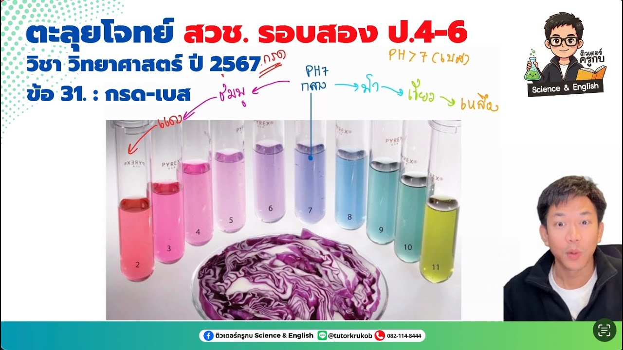 EP 134 เฉลยละเอียด สวช รอบ 2 วิทยาศาสตร์ ป 4 6 ปี 2567┃ข้อ 31 กรด-เบส🥇