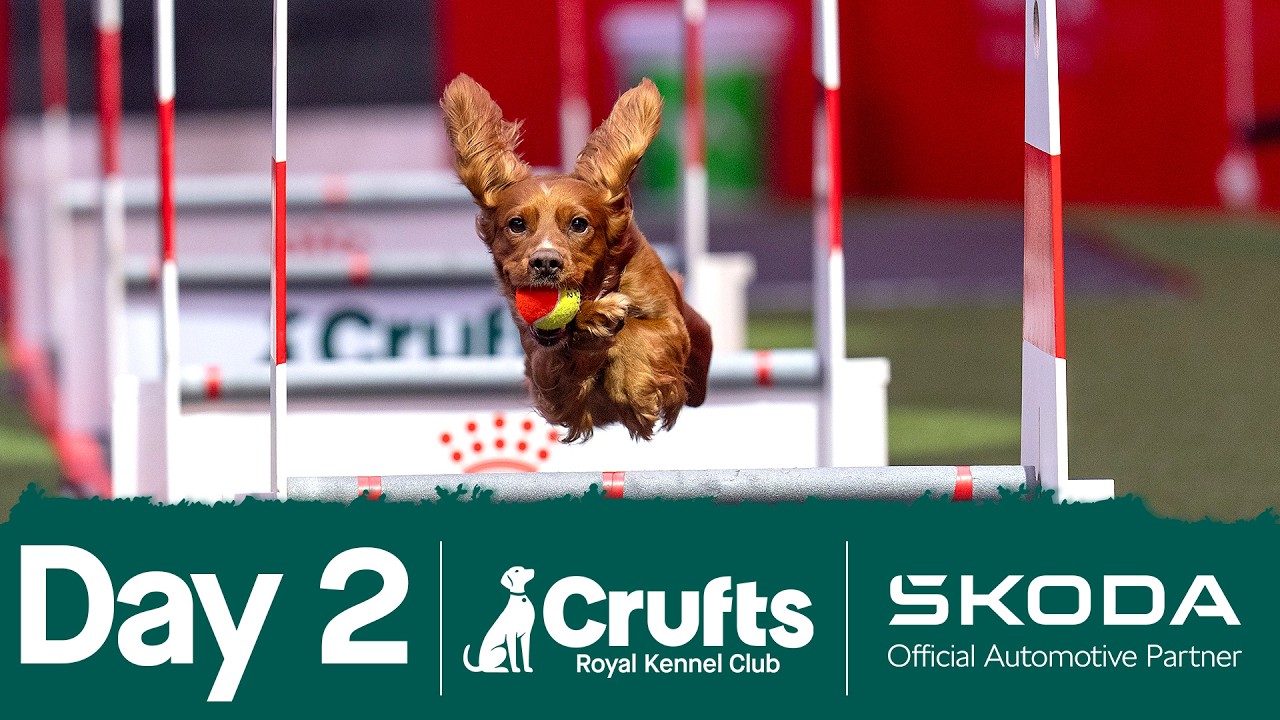 Day 2 Live 🔴 | Crufts 2026