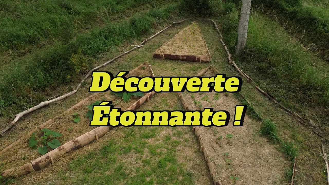 Forêt-Jardin en Plein Essor