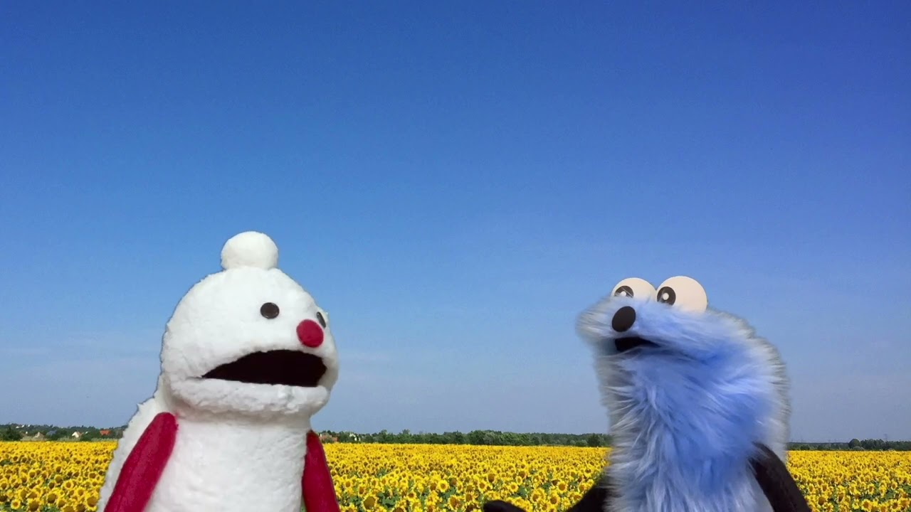 Теру Теру Боузу