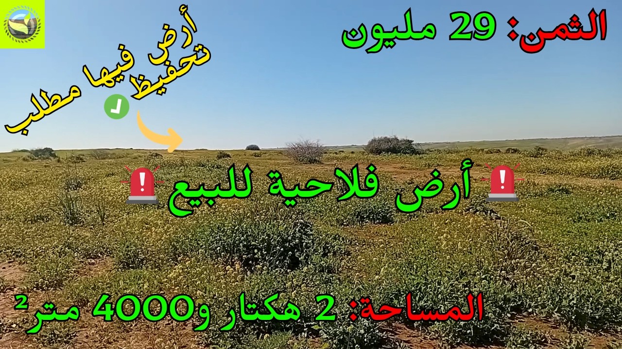 للبيع أرض واسعة 2 هكتار و4000 متر² قرب الخميسات صالحة للفلاحة ومشاريع الدواجن بثمن مناسب 🌾