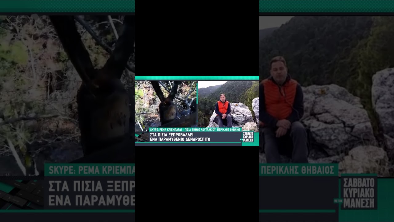 Το viral δεντρόσπιτο που επισκέπτονται όλοι στα Πίσια Κορινθίας