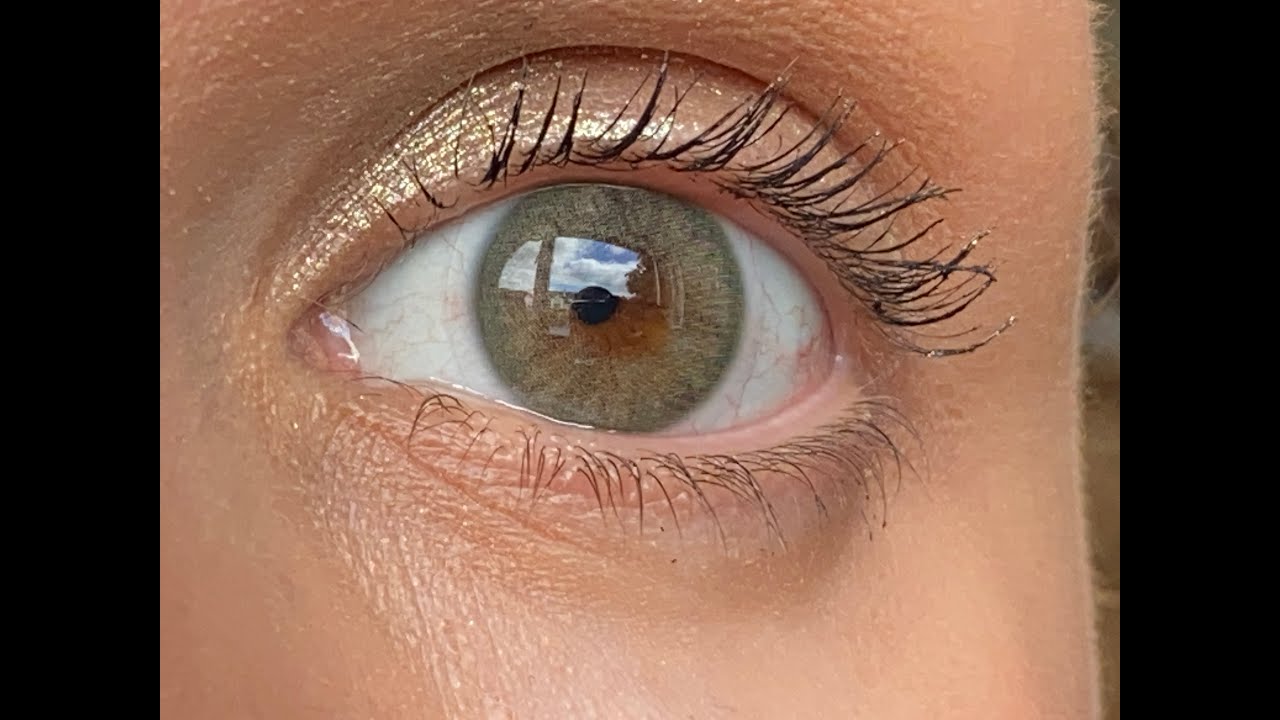 Cloud Moss - Siesta Black Edition - Contact Lenses 👁️‍🗨️💚👁️‍🗨️