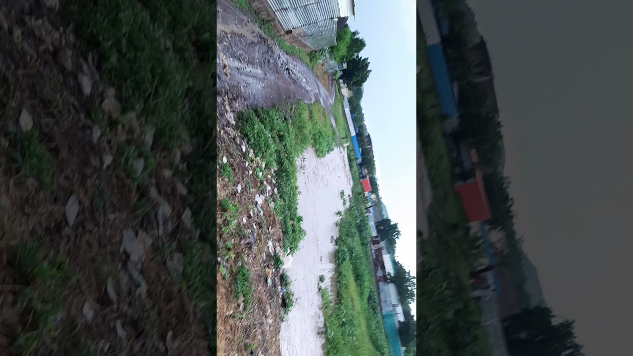 القضارف  دوكه القلابات